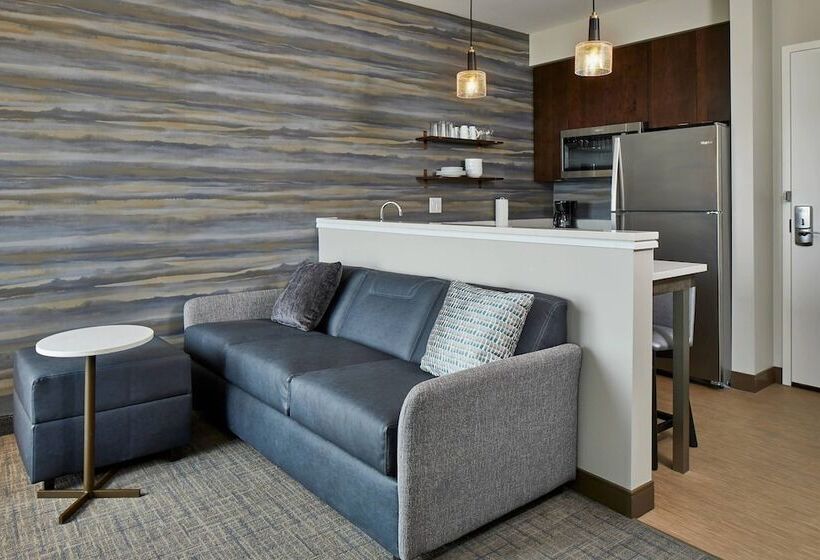 酒店 Residence Inn By Marriott Albany Airport