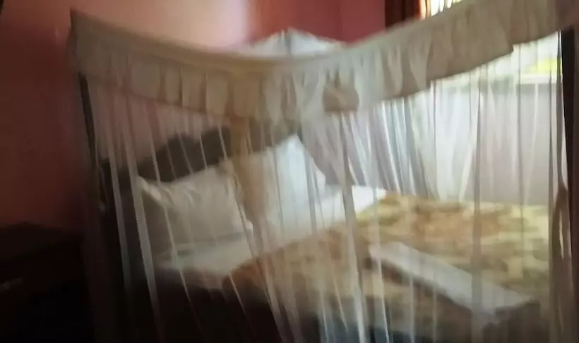 Palm Gardens Hotel   Masindi