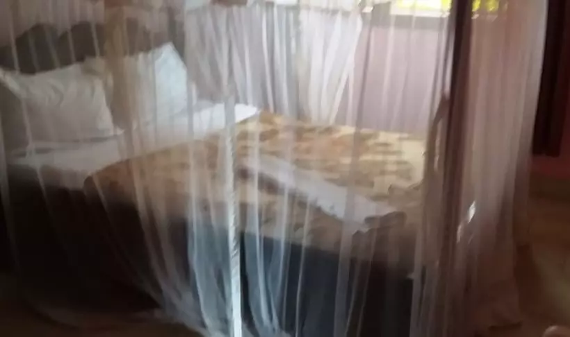 Palm Gardens Hotel   Masindi