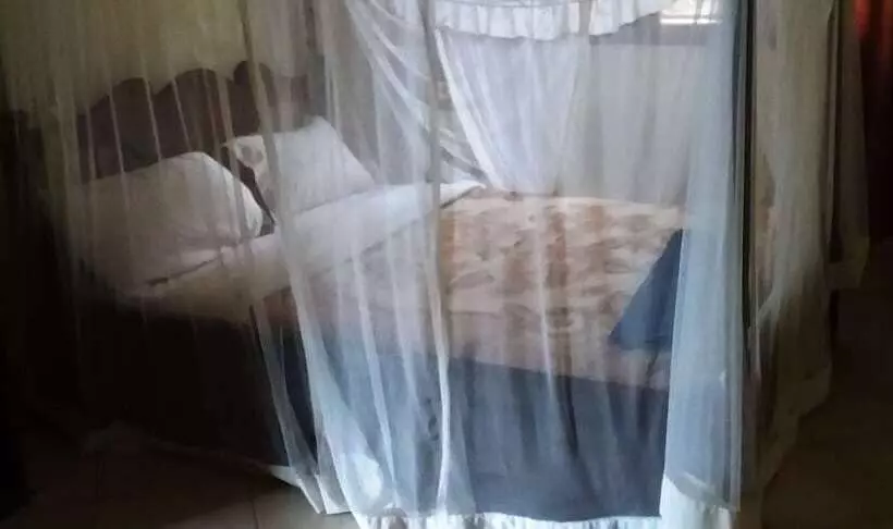 Palm Gardens Hotel   Masindi