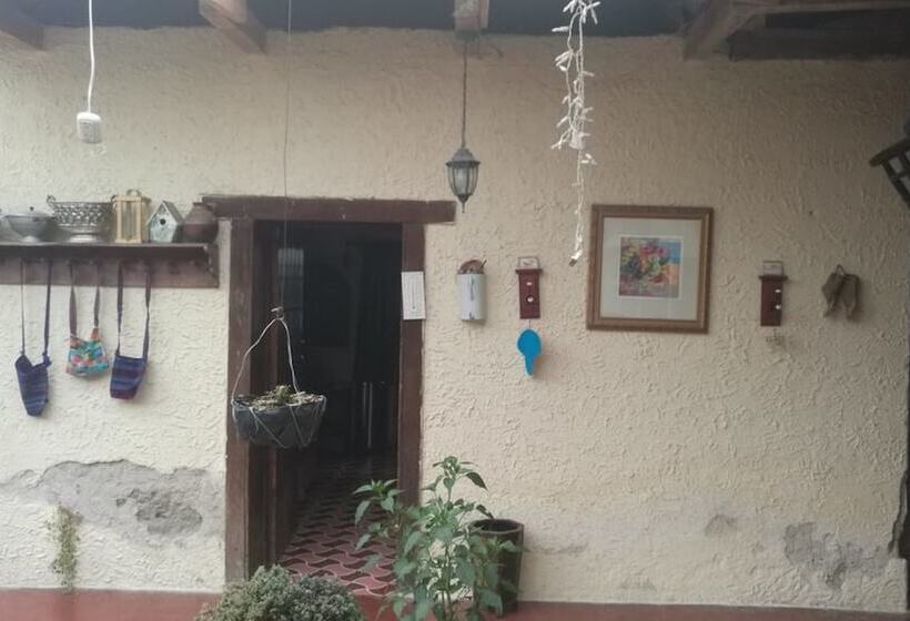 پانسیون Marquesote Hostel