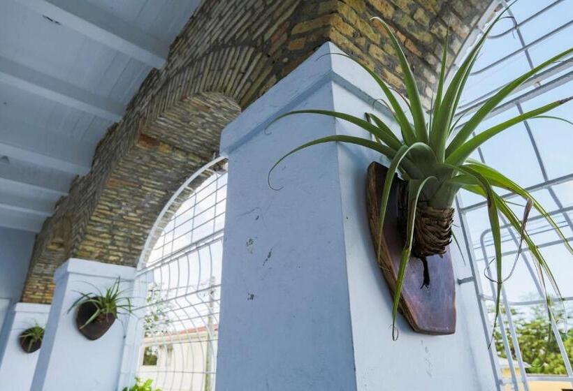 هتل Sugar Apple Bed And Breakfast