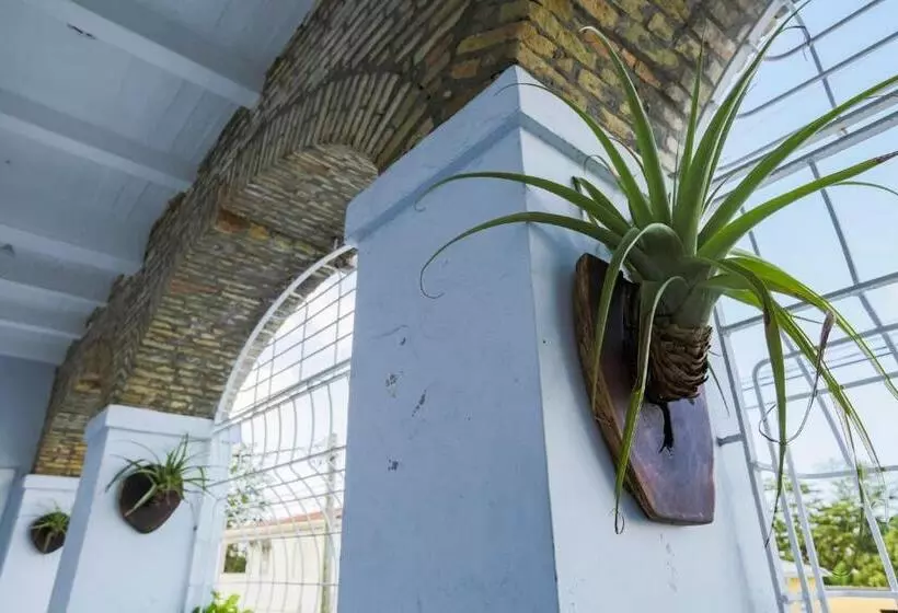 هتل Sugar Apple Bed And Breakfast