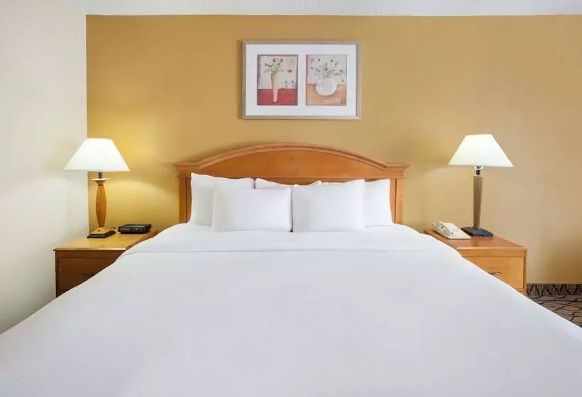 酒店 Baymont By Wyndham Canton