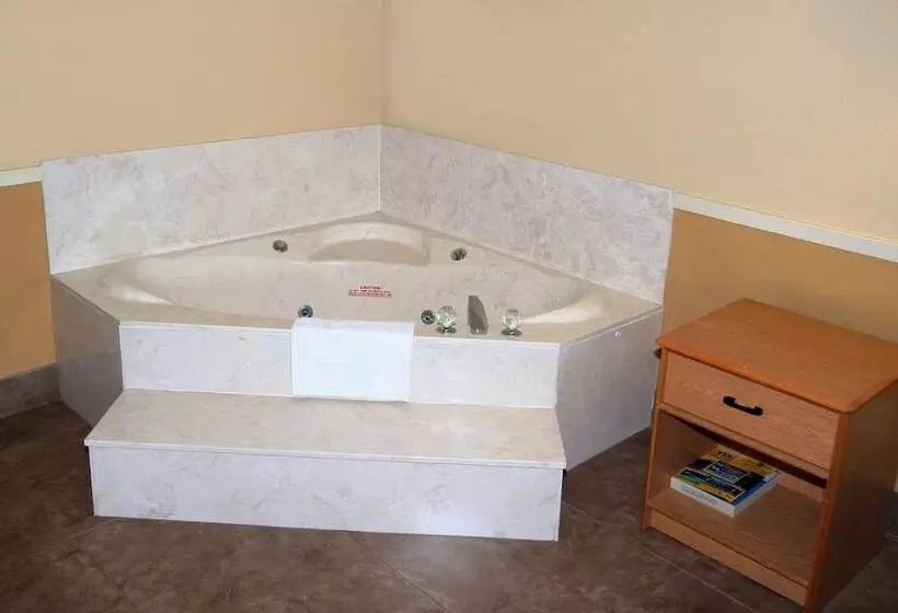 酒店 Edinburg Executive Inn