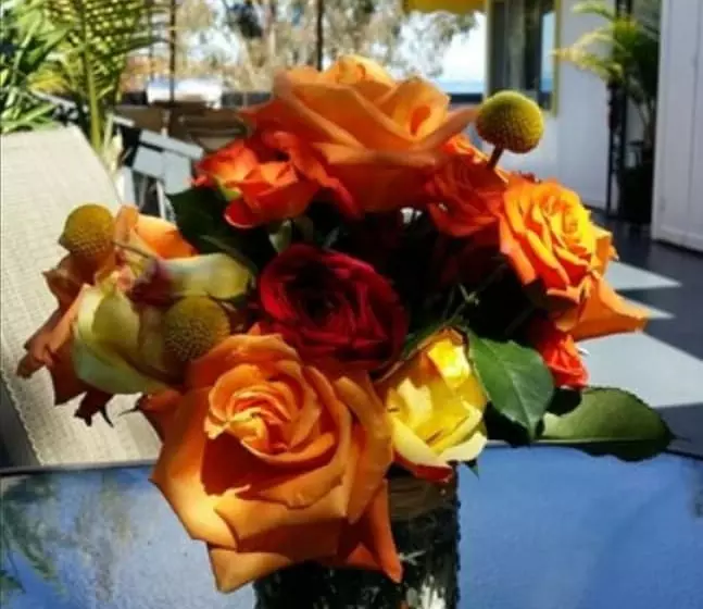 هتل El Terado Terrace