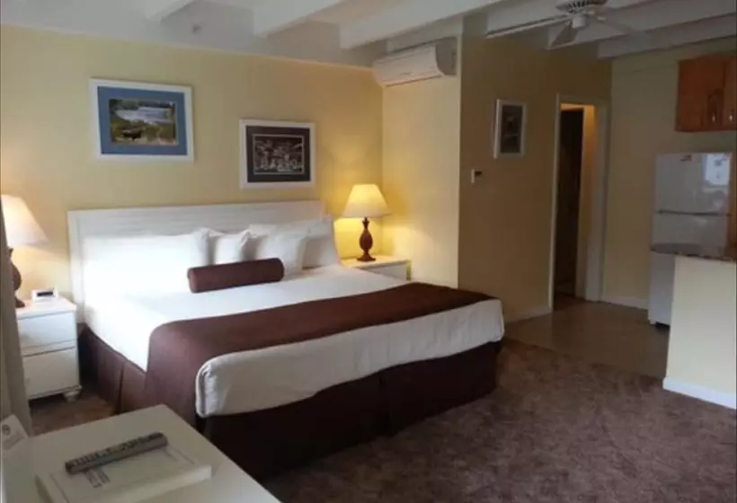 هتل El Terado Terrace