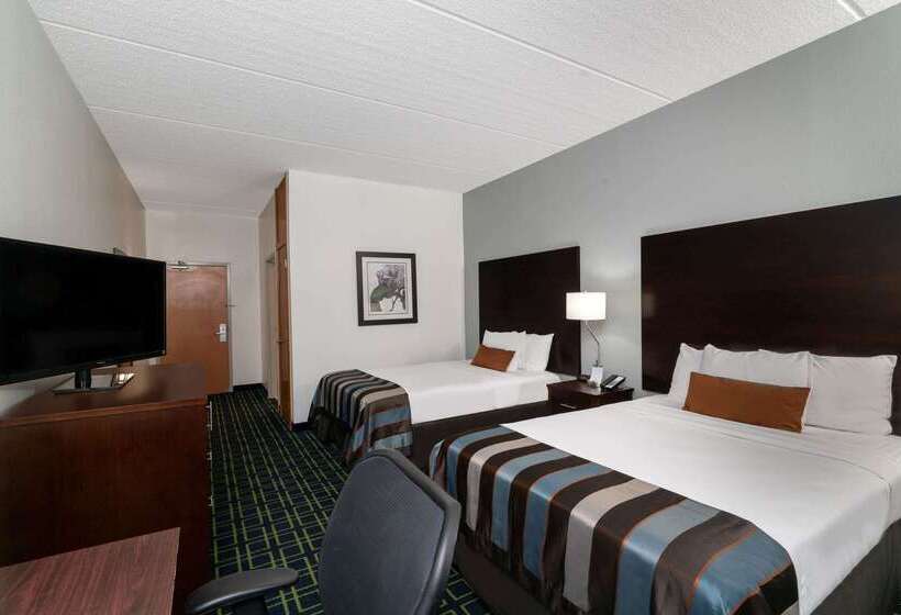 Otel Wingate By Wyndham Fletcher At Asheville Airport