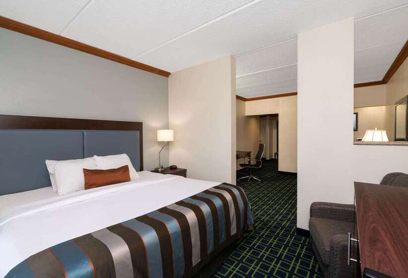 Otel Wingate By Wyndham Fletcher At Asheville Airport