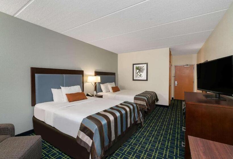Otel Wingate By Wyndham Fletcher At Asheville Airport