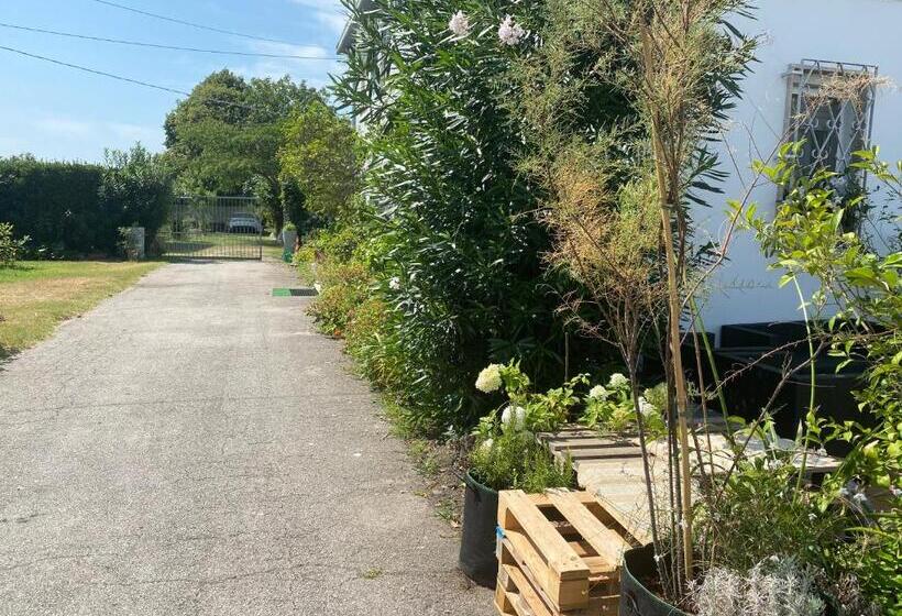 Pensão Balabuska Rooms & Garden