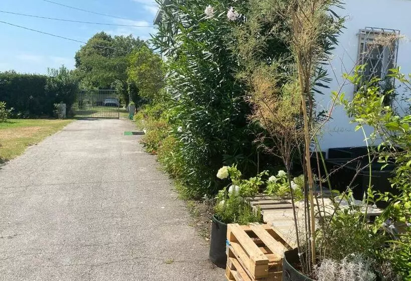 Majatalo Balabuska Rooms & Garden