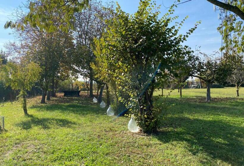 Pensão Balabuska Rooms & Garden