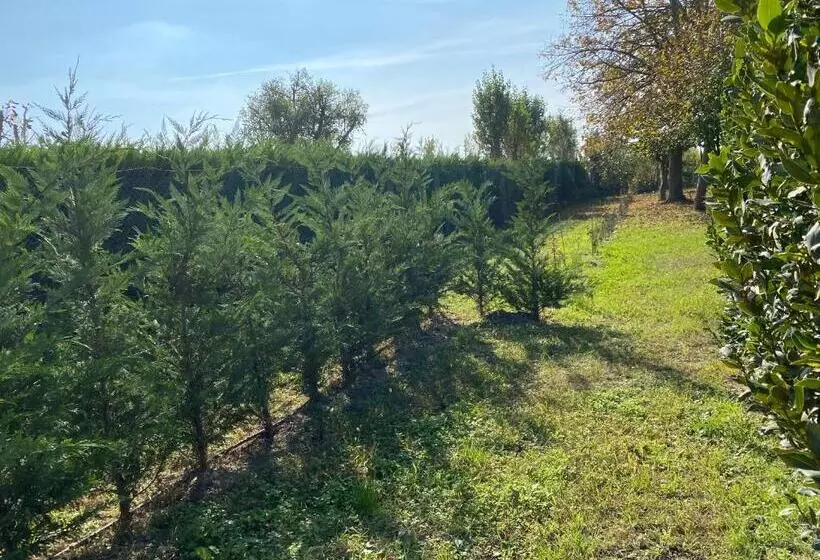 Majatalo Balabuska Rooms & Garden