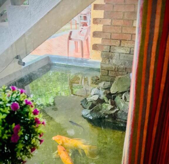 ペンション Dandelion   Unawatuna