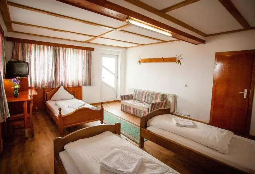 ペンション Casa Cerbului1