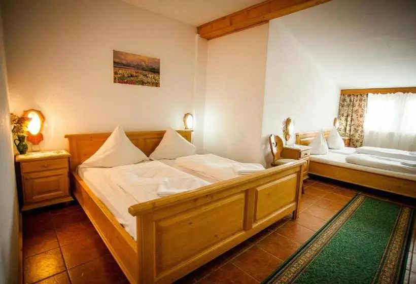 ペンション Casa Cerbului1