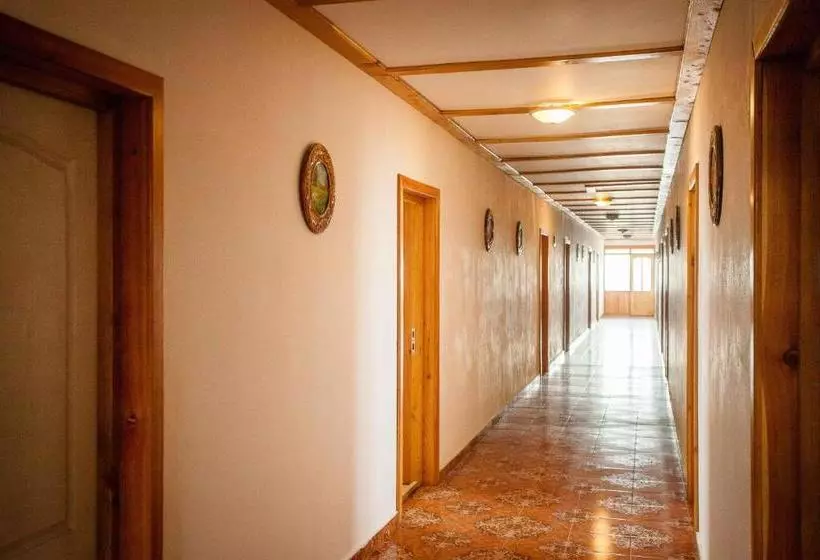 ペンション Casa Cerbului1