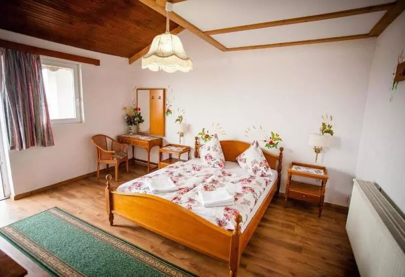 ペンション Casa Cerbului1