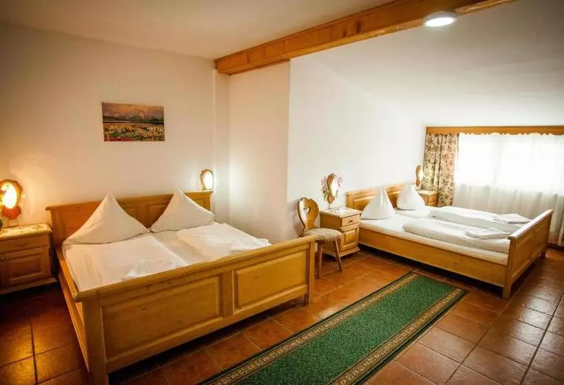 ペンション Casa Cerbului1