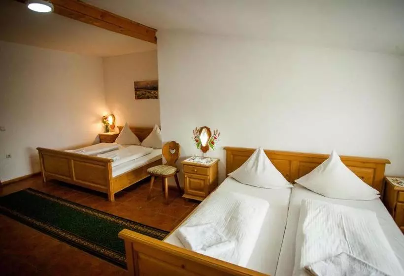 ペンション Casa Cerbului1