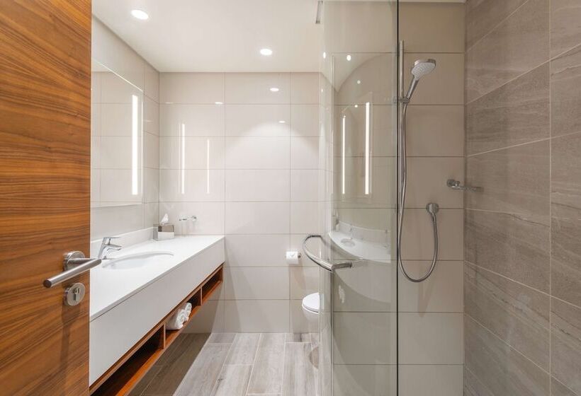 酒店 Hilton Garden Inn Windhoek