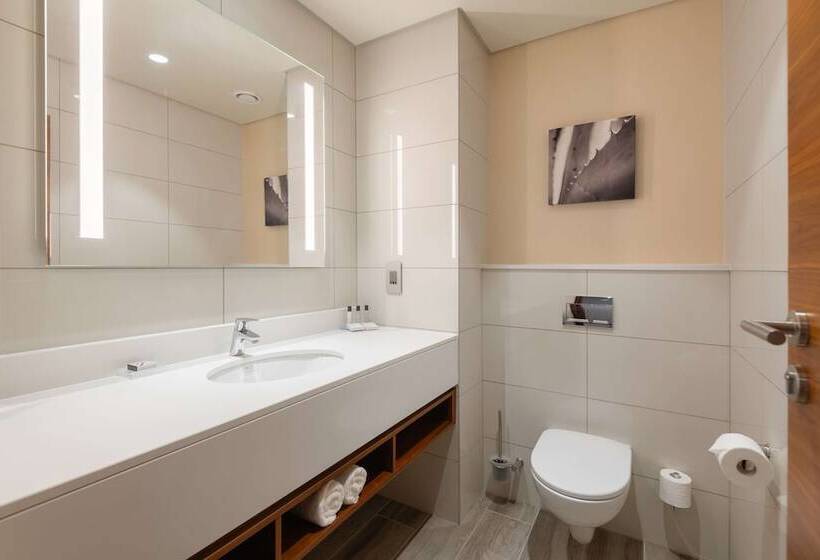 酒店 Hilton Garden Inn Windhoek