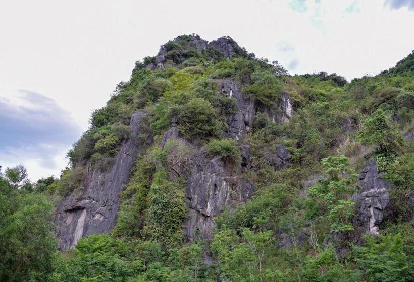 هتل Phong Nha Orient Homestay