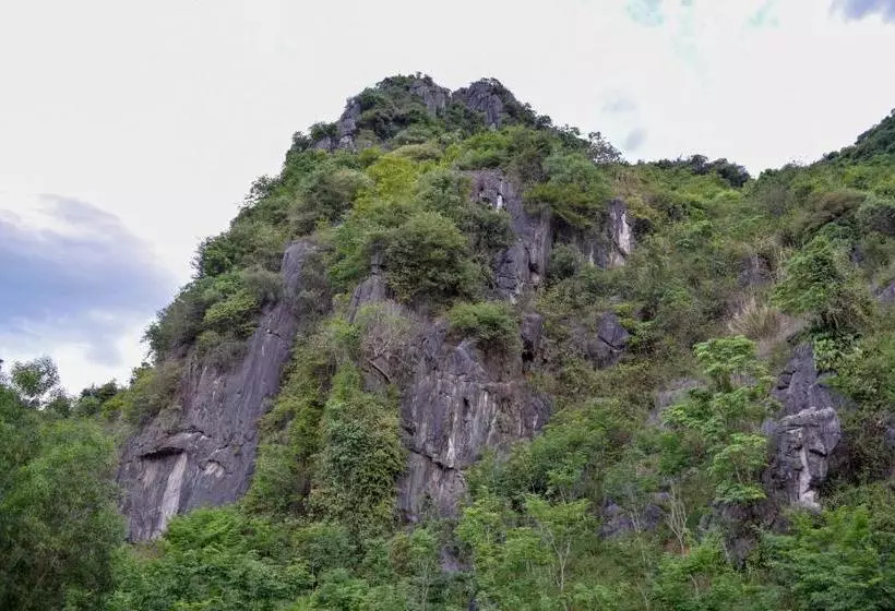هتل Phong Nha Orient Homestay