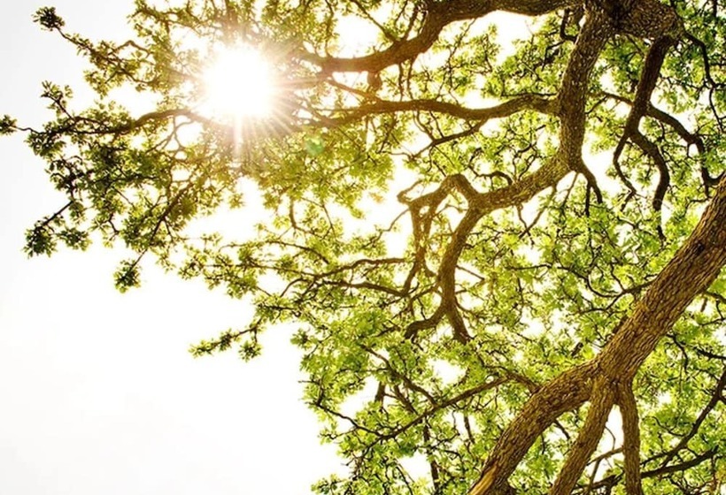 住宿加早餐 Mill House