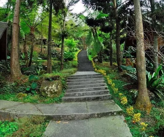 تختخواب و صبحانه Shinmingshan Holiday Inn