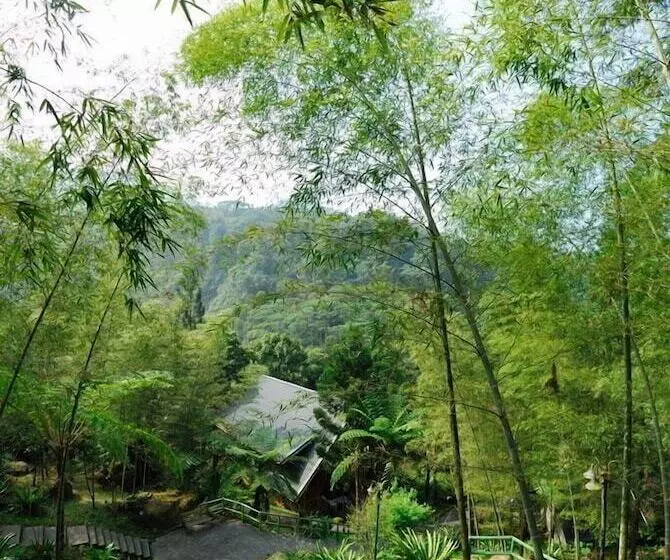 تختخواب و صبحانه Shinmingshan Holiday Inn