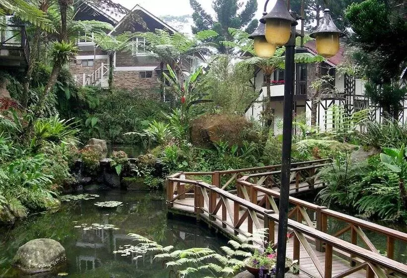 تختخواب و صبحانه Shinmingshan Holiday Inn