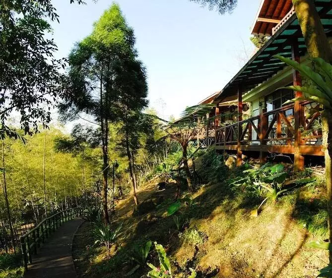 تختخواب و صبحانه Shinmingshan Holiday Inn