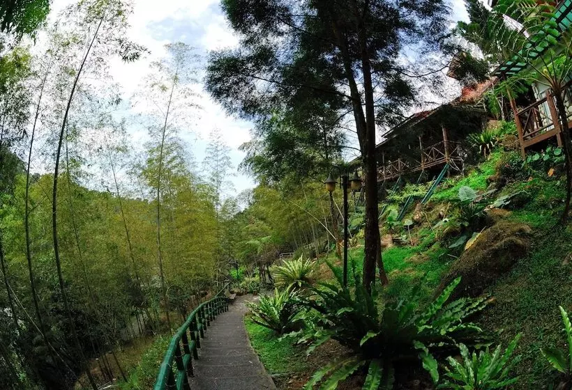 تختخواب و صبحانه Shinmingshan Holiday Inn