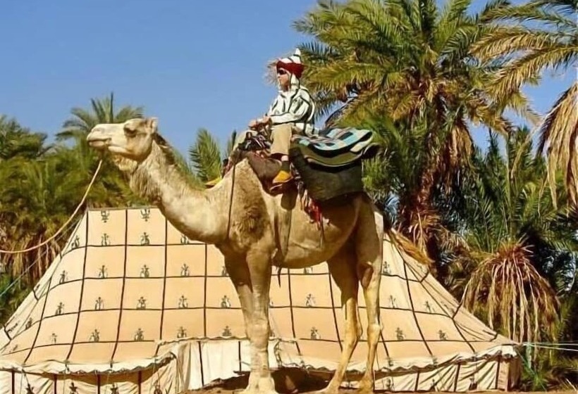 Pension (Hôtel basse catégorie) Dar Sidi Bounou