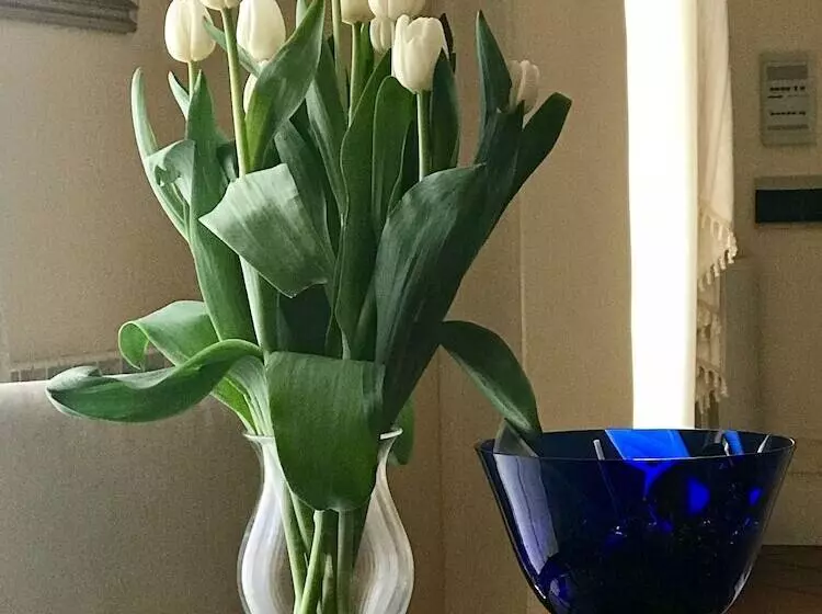 Aamiaismajoitus (B&B) Stella Marina Stabia