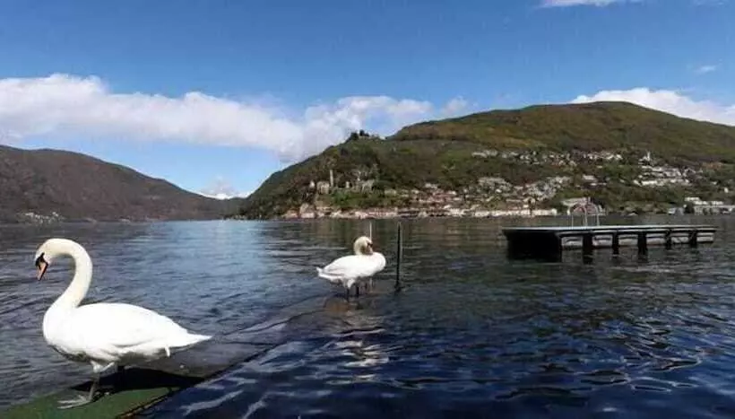 Hotelli Zappa Lake Lodge