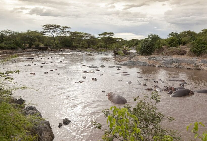 Hotel Kananga Special Tented Camp