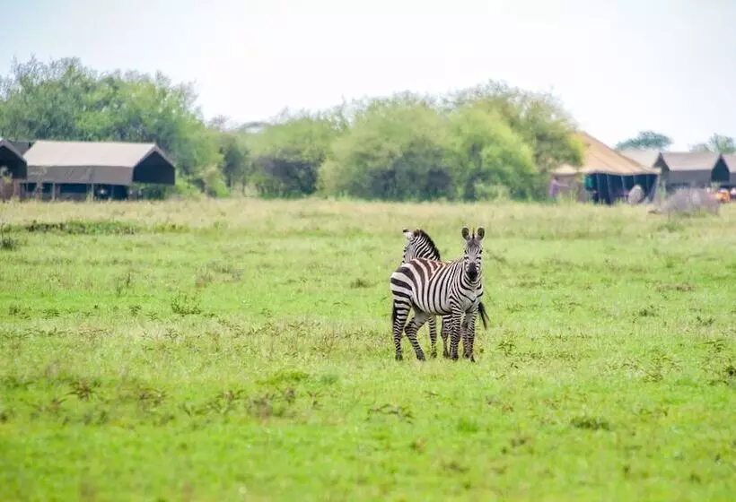 هتل Kananga Special Tented Camp