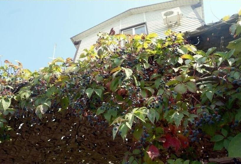 پانسیون Domik U Morya