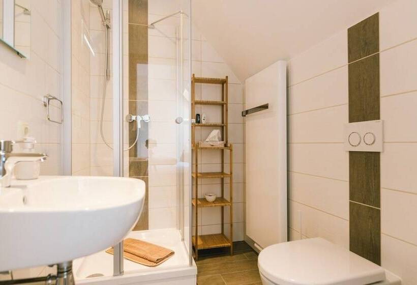 Пансион Gasthaus Zum Bergwitzsee