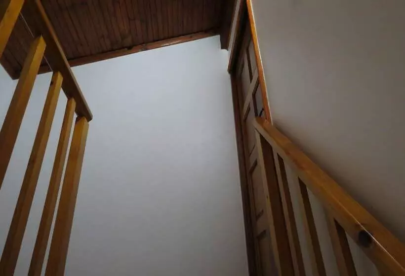 ペンション Three Spruce