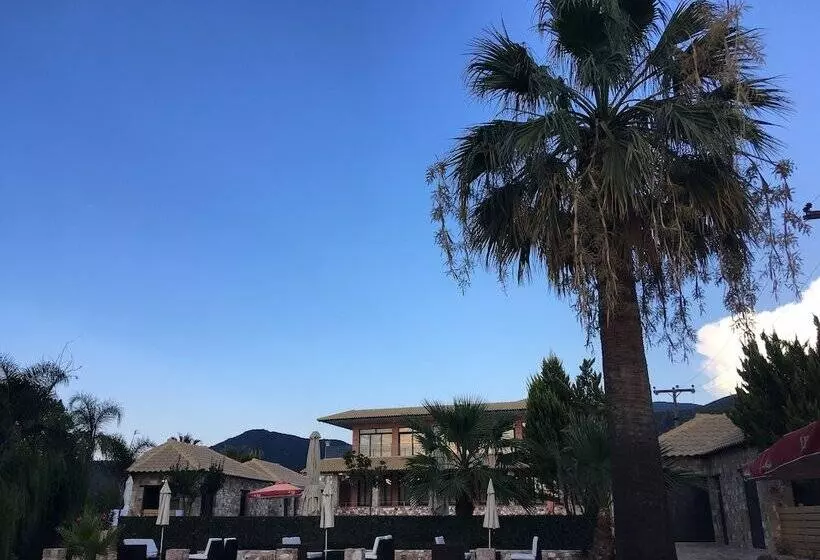 پانسیون Almyra Holiday Village