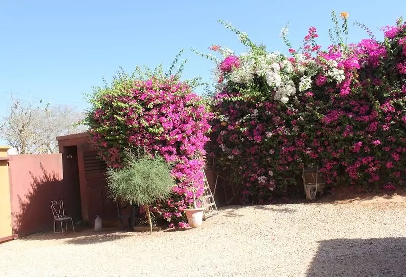 پانسیون Amour Sénégal