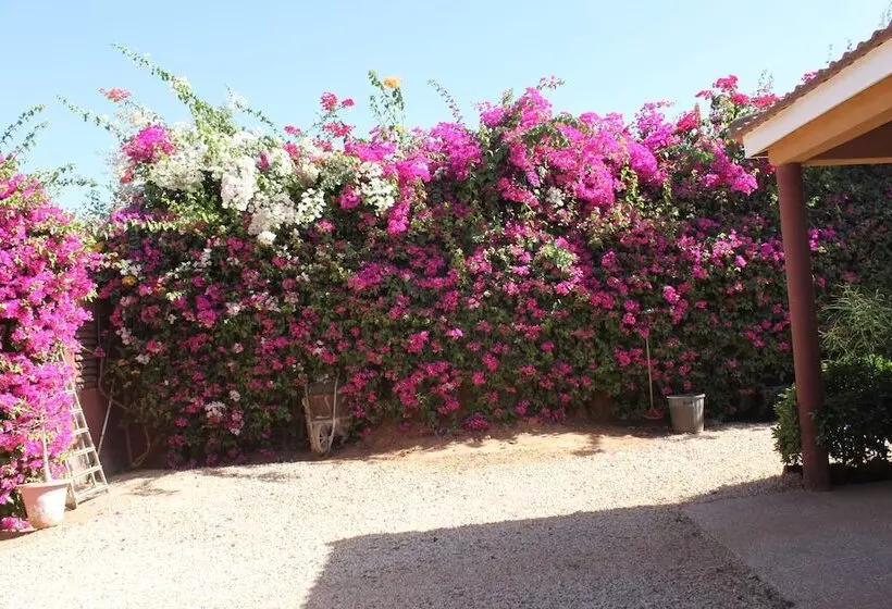 پانسیون Amour Sénégal