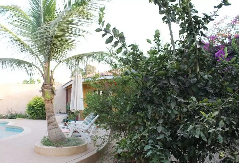 پانسیون Amour Sénégal