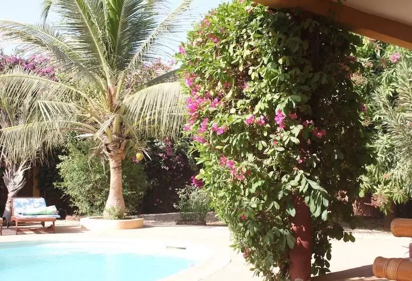 پانسیون Amour Sénégal