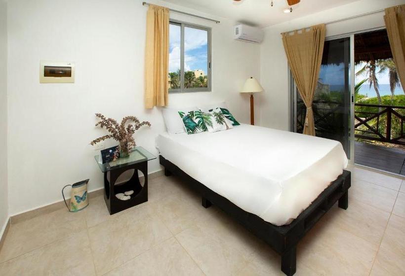 بنسيون Casa Luna Tankah