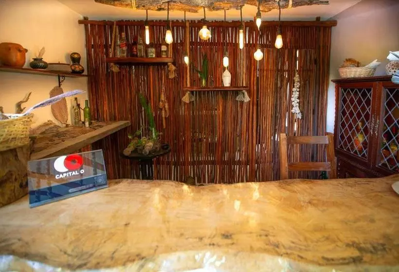 پانسیون Casa Luna Tankah